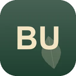 Logo BurtykBC