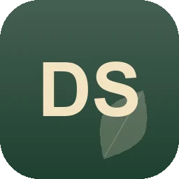 Logo D s Schwerlast Service