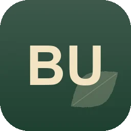 Logo Bullinger