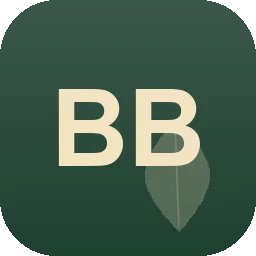 Logo Benis Bau Und Pflasterarbeiten
