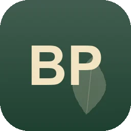 Logo Baumaschinen P.baumann