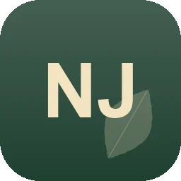 Logo Nils Janke