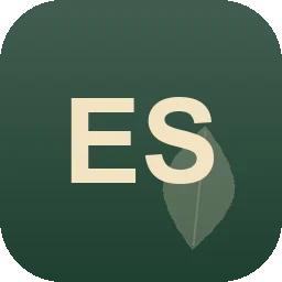 Logo Easy Slt