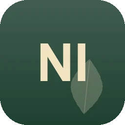 Logo Nermin Ibushoski