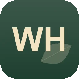 Logo Wolfram Hochstetter