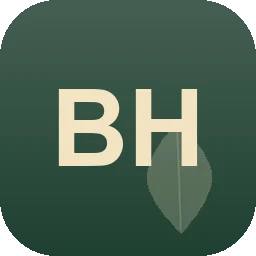 Logo Bernhard Hinricher
