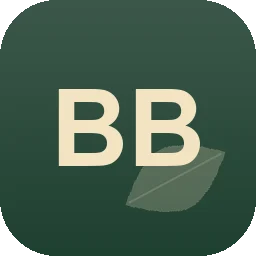 Logo Berislav Baltic & Mario Ilic BM-Bau