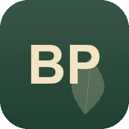 Logo Bernd Petersen Hannover Limmer