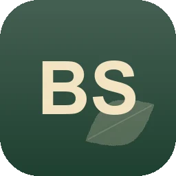 Logo Bauservice Schmitz