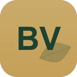 Logo Bruno Voll