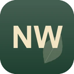 Logo Niclas Wohlstreicher