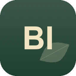 Logo Birkner