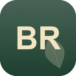 Logo Balleisen Remy