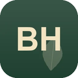 Logo Benedikt Heintze