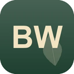 Logo Best Work