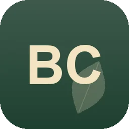 Logo Bergmann Consulting