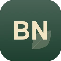Logo B.n