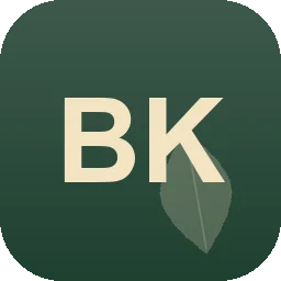 Logo BK Konzept