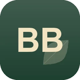 Logo Bernd Braun