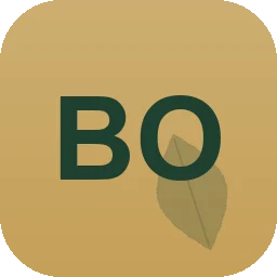 Logo Bodin