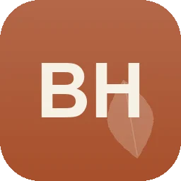 Logo Baggerbetrieb Holzheu GmbH
