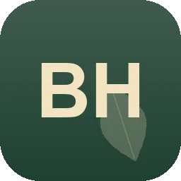 Logo Benedikt Hesse
