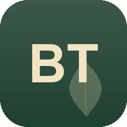Logo B. Timm
