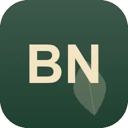 Logo Burkhard Noltensmeier