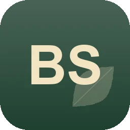 Logo Bauservice Saar