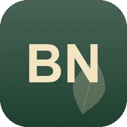 Logo Björn NatursteinKonzept Schories