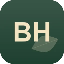 Logo Baumarbeiten Hoch