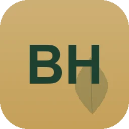 Logo B-Hankel