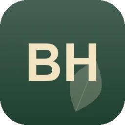 Logo Borchers H