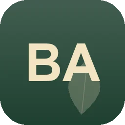 Logo Borschs Allroundservice