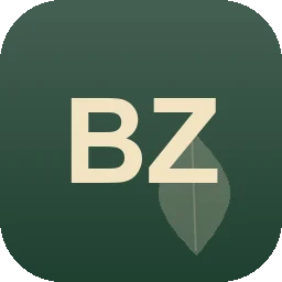 Logo Blerim Zejnullahu