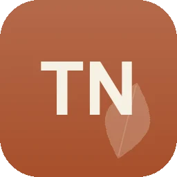 Logo Thies Nissen Erd- & Baggerarbeiten