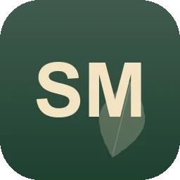 Logo Schmidt M