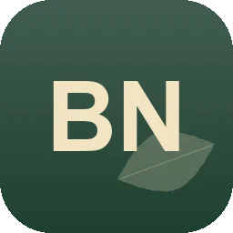 Logo Bnservice