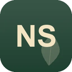 Logo Nara-Services