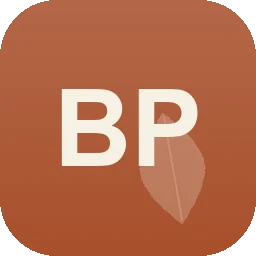 Logo Beni Pflasterbau