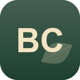 Logo Bormann Christian
