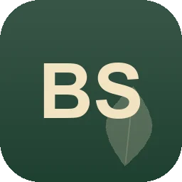Logo Braß & Schmidt e.K