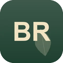Logo Braasch
