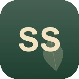 Logo Schmidt Siegmund