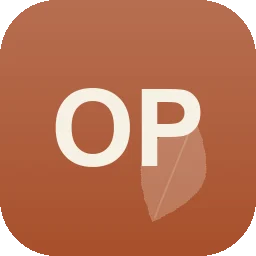 Logo Ol Pflasterarbeiten