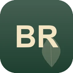 Logo Baustrom Ried Gbr