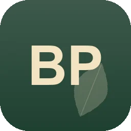 Logo Breitenberger Pflasterbau