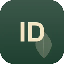 Logo IDEENQUADRAT Domroes