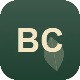 Logo BSA Construct Seesen