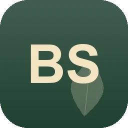 Logo B&S Koch Transporte